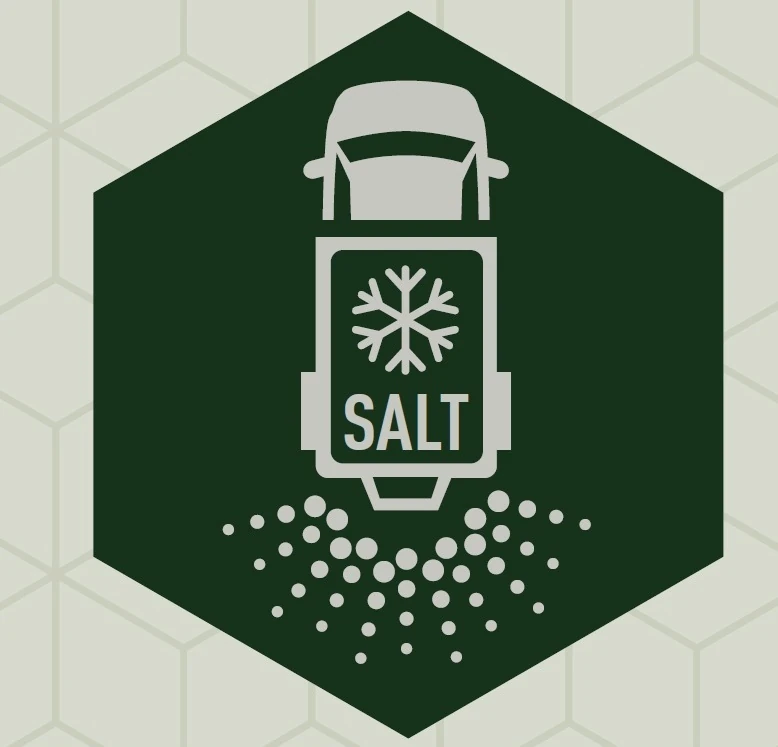 Odporność na działanie soli drogowej.webp